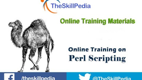 PERL Scripting Training