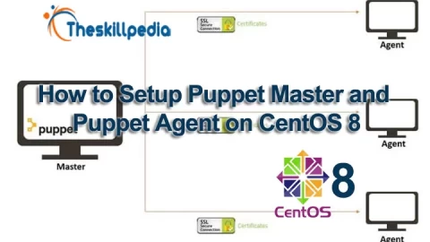 Setup Puppet Master and Puppet Agent on CentOS 8