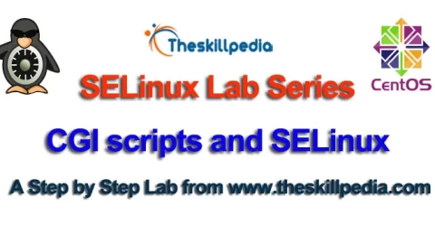 CGI scripts and SELinux