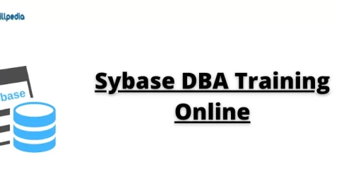 Details about Sybase DBA Training Online