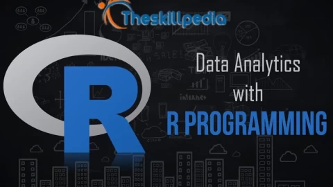 R Programming Training Course for Data Analyst